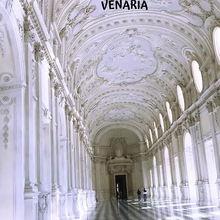 Golden Bed - Atp * Turin